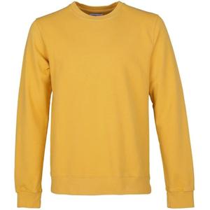 cs1005-burnedyellow-sudadera-cuello-redondo-colorful-standard-classic-organic-amarillo-quemado