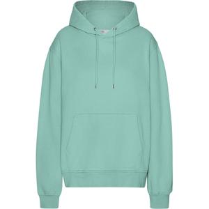 cs1006-seafoamgreen-sudadera-con-capucha-colorful-standard-classic-organic-seafoam-green-verde-seafoam