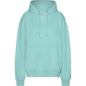 cs1006-tealblue-sudadera-con-capucha-colorful-standard-classic-organic-teal-blue-azul-turquesa