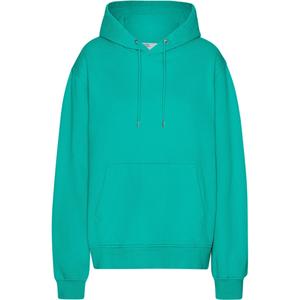 cs1006-tropicalsea-sudadera-con-capucha-colorful-standard-classic-organic-tropical-sea-mar-tropical
