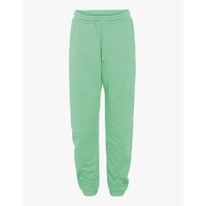 cs1011-seafoamgreen-pantalon-de-chandal-colorful-standard-organic-seafoam-green-verde-seafoam
