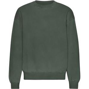 cs1012-midnightforest-sudadera-oversize-de-cuello-redondo-colorful-standard-organic-midnight-forest-bosque-de-medianoche