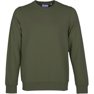 cs1005-seaweedgreen-sudadera-cuello-redondo-colorful-standard-classic-organic-verde-alga