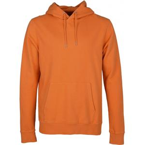cs1006-burnedorange-sudadera-con-capucha-colorful-standard-classic-organic-naranja-quemado