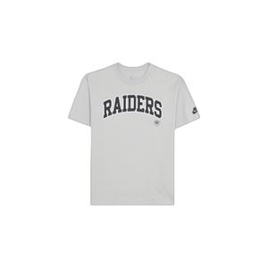 01ay-09d-8dv-np1-camiseta-de-corte-holgado-las-vegas-raiders-medium-silver